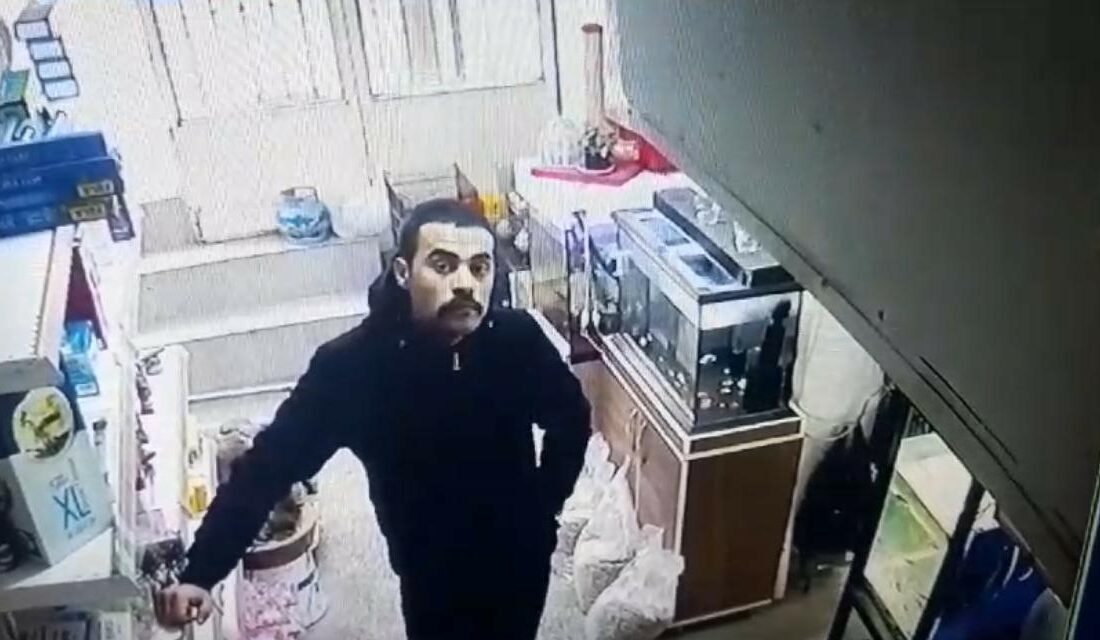 Müşteri gibi geldiği iş yerinde araç çalıp kaçtı BURSA’DA BİR PETSHOP DÜKKANINA GİREN ŞÜPHELİ MASADA GÖRDÜĞÜ ARACIN ANAHTARINI