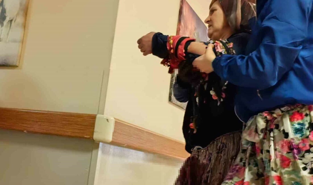 Odun keserken, eşinin kolunu kesti BURSA'NIN İNEGÖL İLÇESİ KIRSAL KIRAN MAHALLESİNDE MEYDANA GELEN OLAYDA ODUN