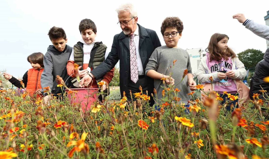 NİLÜFER BELEDİYESİ, KENT MERKEZİNDE YÜKSELEN BİNALARIN ARASINDA KURDUĞU BOSTANLARA, FİDE