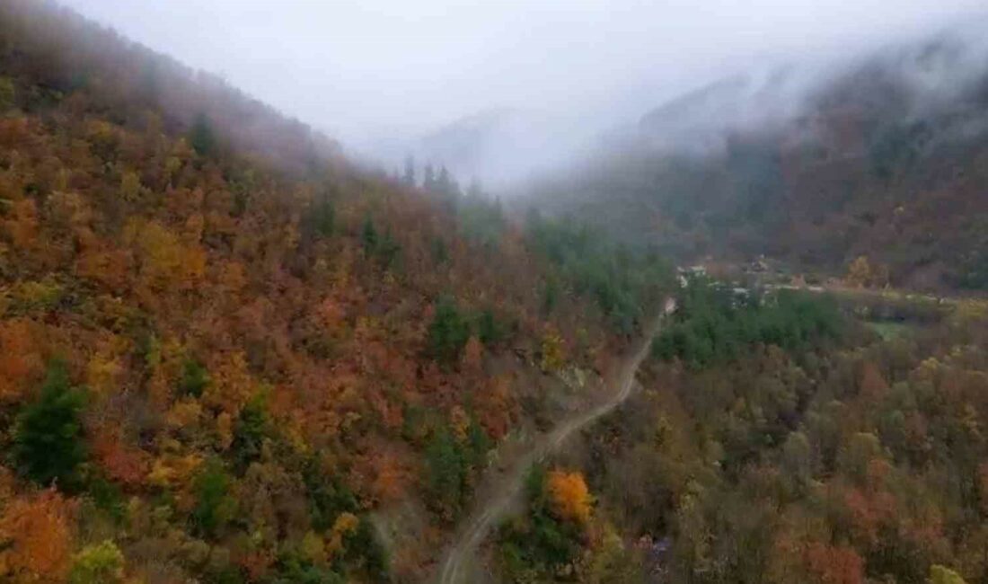 ULUDAĞ’DA GEÇEN AY YAĞAN KARIN ERİMESİYLE BİRLİKTE AĞAÇLARIN RENKLERİ KARTPOSTALLIK