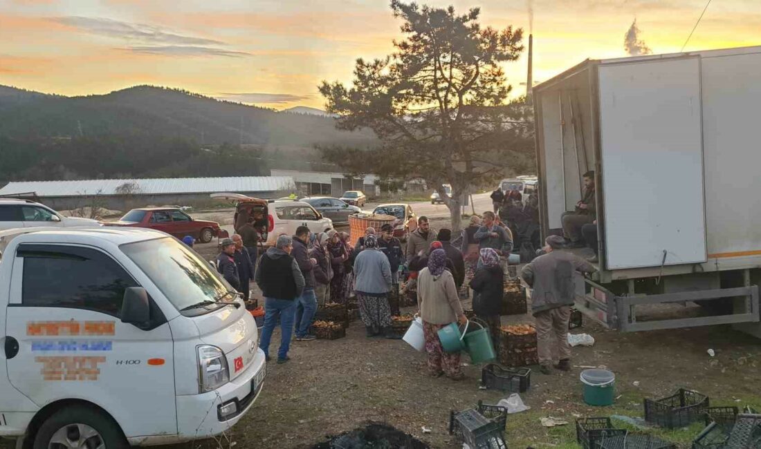 KÖYLÜLER DAĞDAN TOPLADIKLARI KANLICA MANTARINI İSTANBUL'DAN GELEN TÜCCARA KİLOGRAMI 30