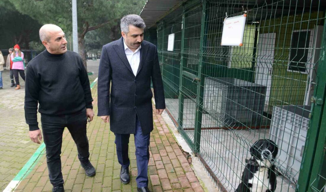 Yıldırım’da can dostlara şefkat eli YILDIRIM BELEDİYESİ, 2019 YILINDAN BU YANA 35 BİN 772 SOKAK