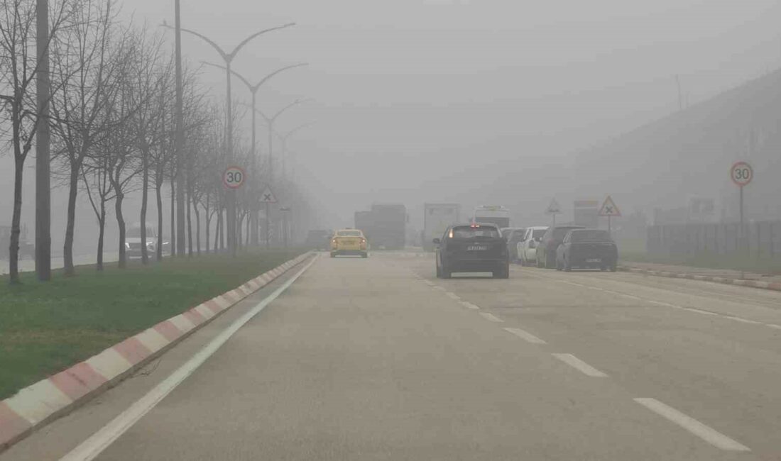 İnegöl’de yoğun sis BURSA'NIN İNEGÖL İLÇESİNDE SABAH SAATLERİNDEN İTİBAREN ETKİLİ OLAN YOĞUN SİS