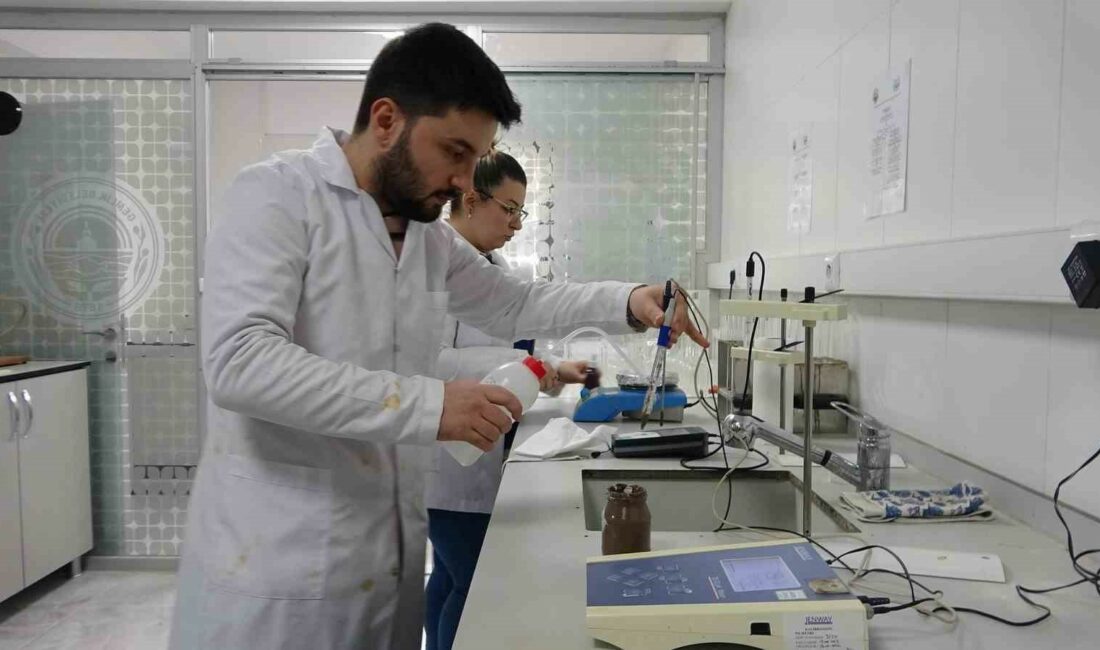 Zeytinin verimliliği için toprak analizleri başladı GEMTAR LABORATUVARI'NDA TOPRAK, SU VE YAPRAK ANALİZLERİ YAPARAK AZ MALİYETLE