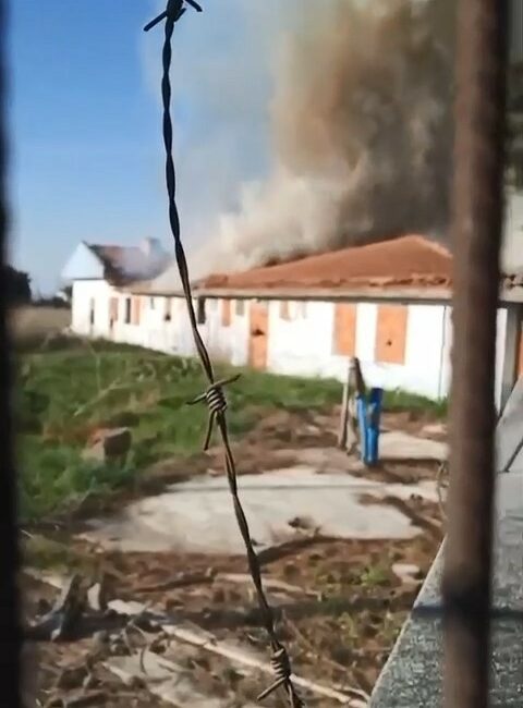 Bursa’da ahır alev alev yandı BURSA'DA BİR AHIR ALEV ALEV YANARKEN BOŞ OLMASI OLMASI MUHTEMEL