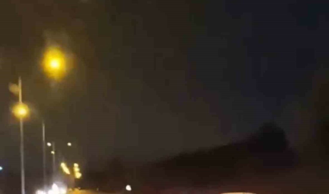 Bursa’da domuz sürüsü ana yola atladı BURSA’DA DOMUZ SÜRÜSÜ ANA YOLA ATLADI