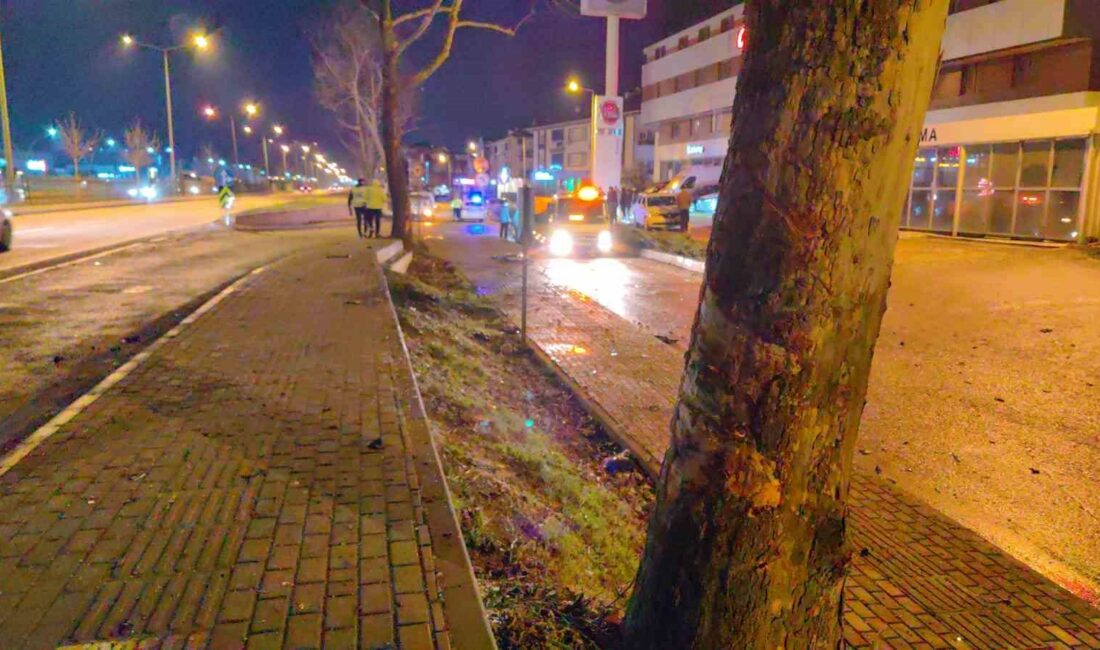Bursa’da kontrolden çıkan otomobil yola uçtu: 1 yaralı BURSA'NIN İNEGÖL İLÇESİNDE MEYDANA GELEN KAZADA AĞACA ÇARPAN OTOMOBİL ALT