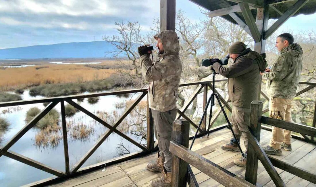 Bursa’daki su kuşları tek tek sayıldı BURSA'DA 2024 YILI KIŞ ORTASI SU KUŞU SAYIMLARI KOCAÇAY DELTASI,