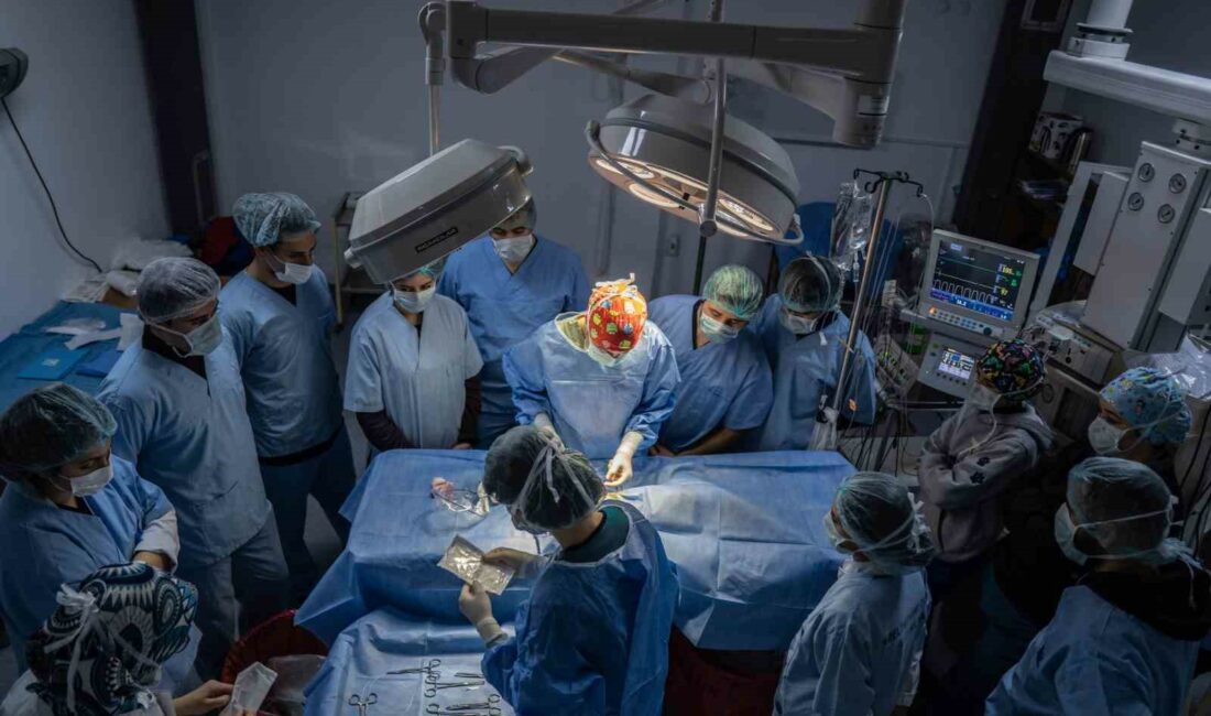 Hayvan Hastanesi’nde ’online randevu’ dönemi BURSA ULUDAĞ ÜNİVERSİTESİ (BUÜ) VETERİNER FAKÜLTESİ HAYVAN HASTANESİ, TEDAVİ HİZMETLERİNDE