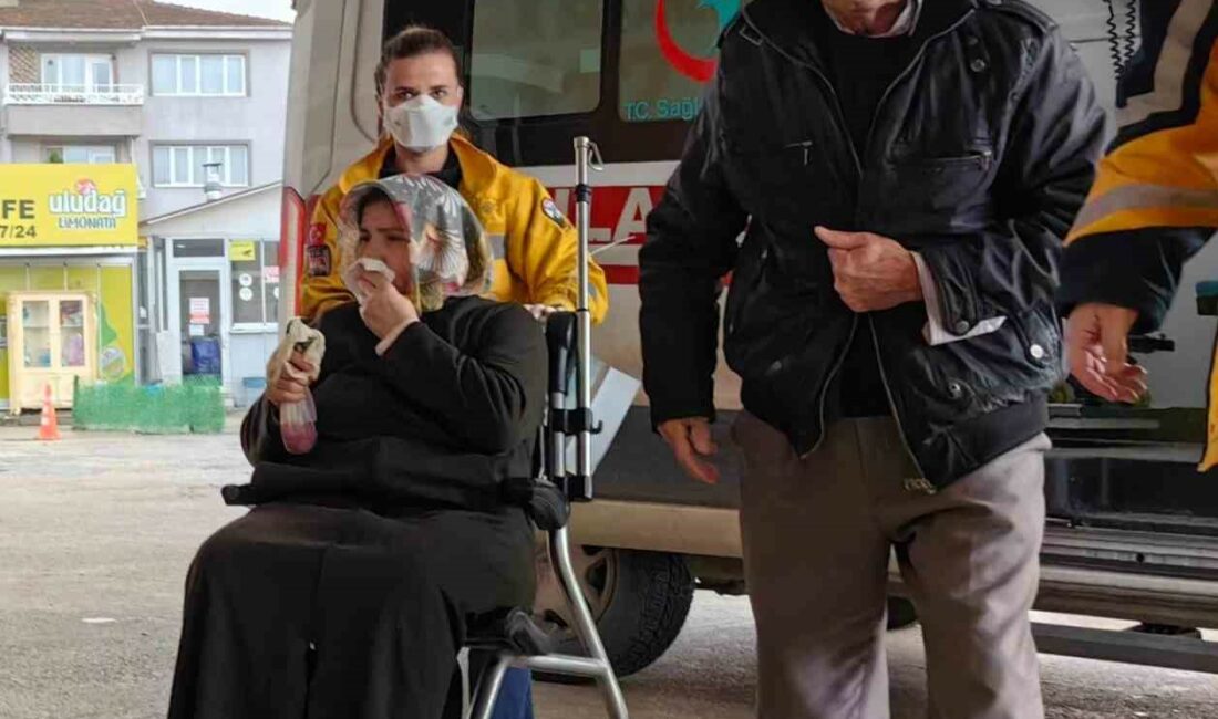 Bursa’da hayvanlar için kullanılan kremi süren çift fenalaştı İNEGÖL'DE KAŞINTI YAŞAYAN YAŞLI ÇİFT, BÜYÜKBAŞ HAYVANLAR İÇİN KULLANILAN KREMİ