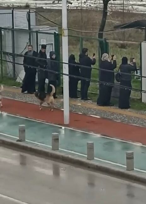 İznik gölündeki tarihi bazilikaya papaz akını 2010 YILINDA HAVADAN KEŞFEDİLEN VE DÜNYANIN EN BÜYÜK 10 KEŞFİ