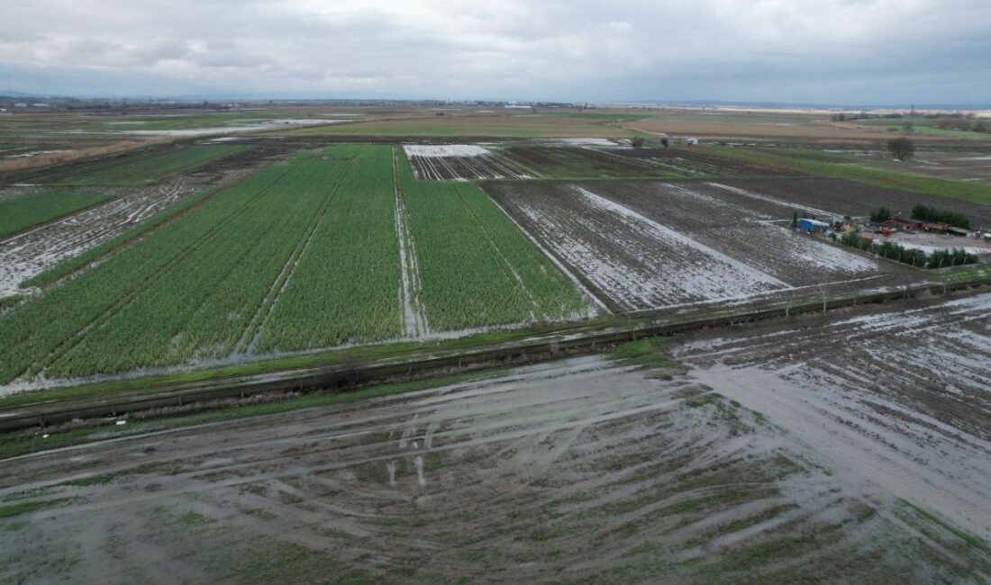 BURSA'DA 2 GÜNDÜR DEVAM EDEN SAĞANAK YAĞIŞ VERİMLİ KARACABEY OVASI'NI