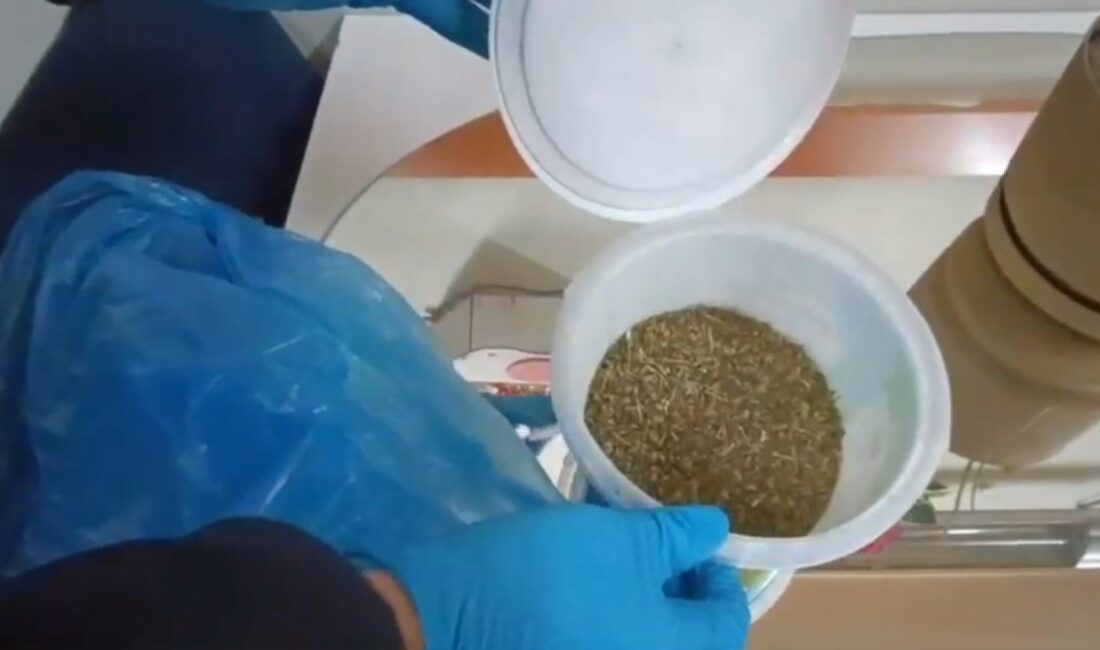 Bursa’da kekikli bonzai polise takıldı BURSA'DA GÜVEN TİMLERİNİN ŞÜPHELENEREK SORGULADIKLARI ŞAHSIN 13 YIL 9 AY