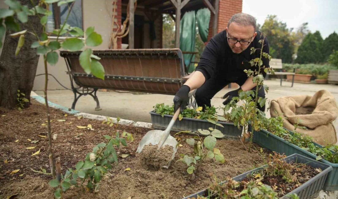Nilüfer’de ağaç dallarından gübre elde ediliyor DAHA ÖNCE GELİŞİ GÜZEL ATILAN BUDAMA ATIKLARI, NİLÜFER BELEDİYESİ’NİN KURDUĞU