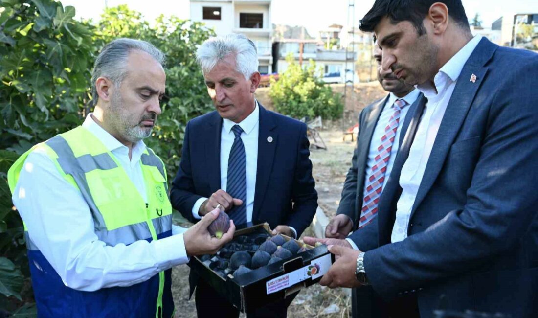 BURSA’DA ÜRETİMDEN PAZARLAMAYA HER ALANDA ÇİFTÇİNİN YANINDA OLAN BÜYÜKŞEHİR BELEDİYESİ,