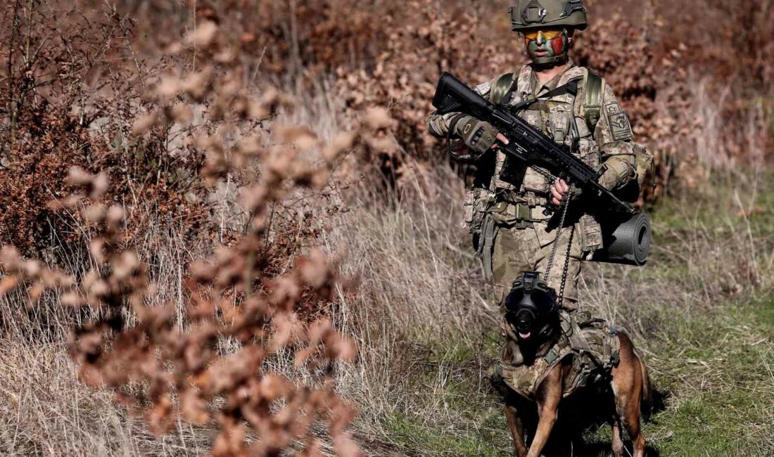 TÜRK SİLAHLI KUVVETLERİ'NİN (TSK) EĞİTİMLİ KÖPEKLERİ, BURSA'DAKİ ASKERİ VETERİNER OKULU