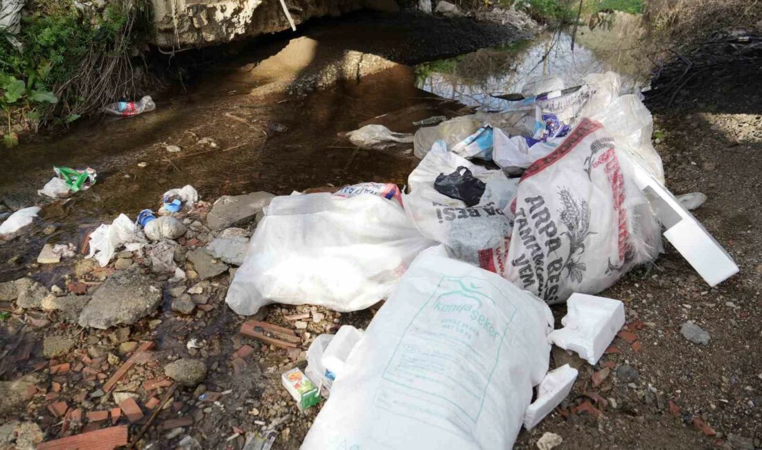 Bursa Ovası’nın tarımsal sulama ihtiyacını karşılayan dere kızıla büründü BURSA’DA TARIMSAL FAALİYETLER İÇİN ÖNEMLİ SU KAYNAĞI OLAN DEMİRTAŞ DERESİ,