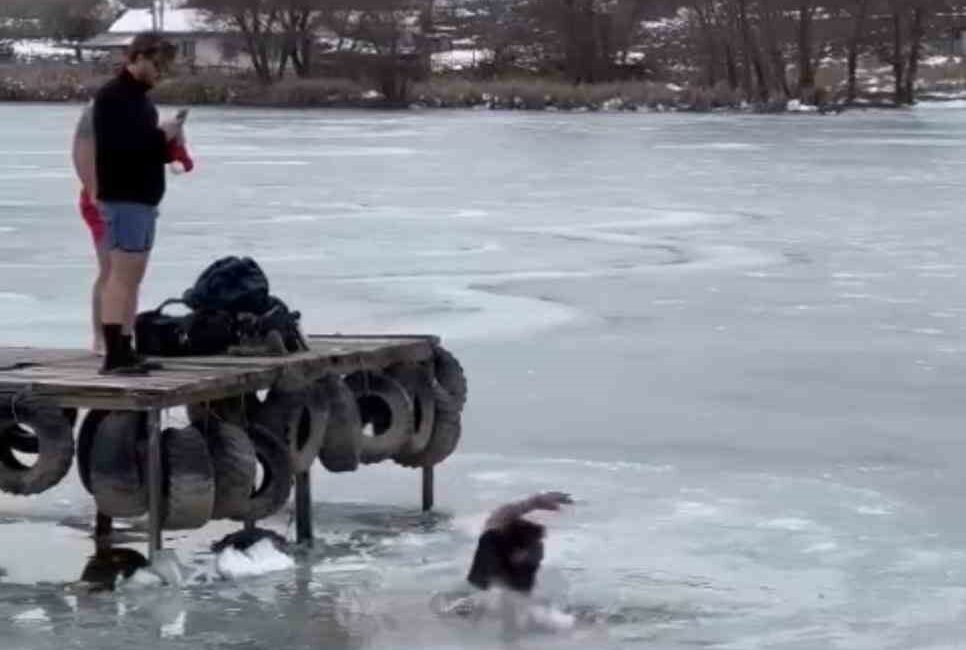 Bursa’da buz tabakası kırılınca gölete düştü Bursa'da buz tabakası kırılınca Gököz Göleti'ne düşen kişi soğuk havada
