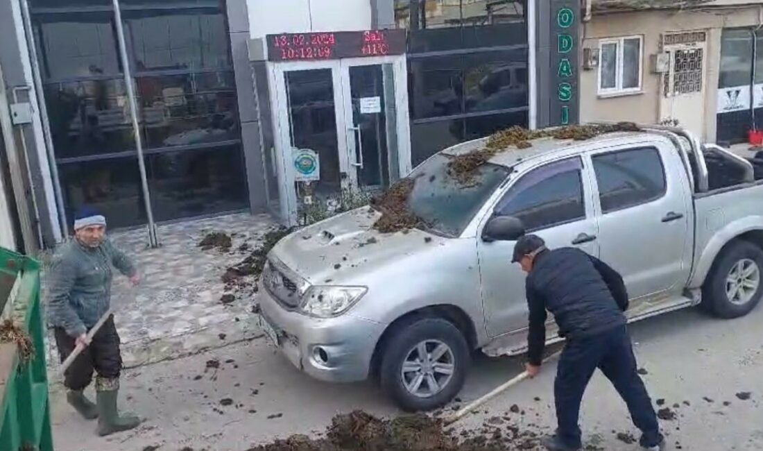 CHP’nin belediye başkan adayına dışkı şoku BURSA'NIN YENİŞEHİR İLÇESİNDE EMEKLİ OLAMAYIŞLARININ FATURASINI CHP'DEN YENİŞEHİR BELEDİYE BAŞKAN