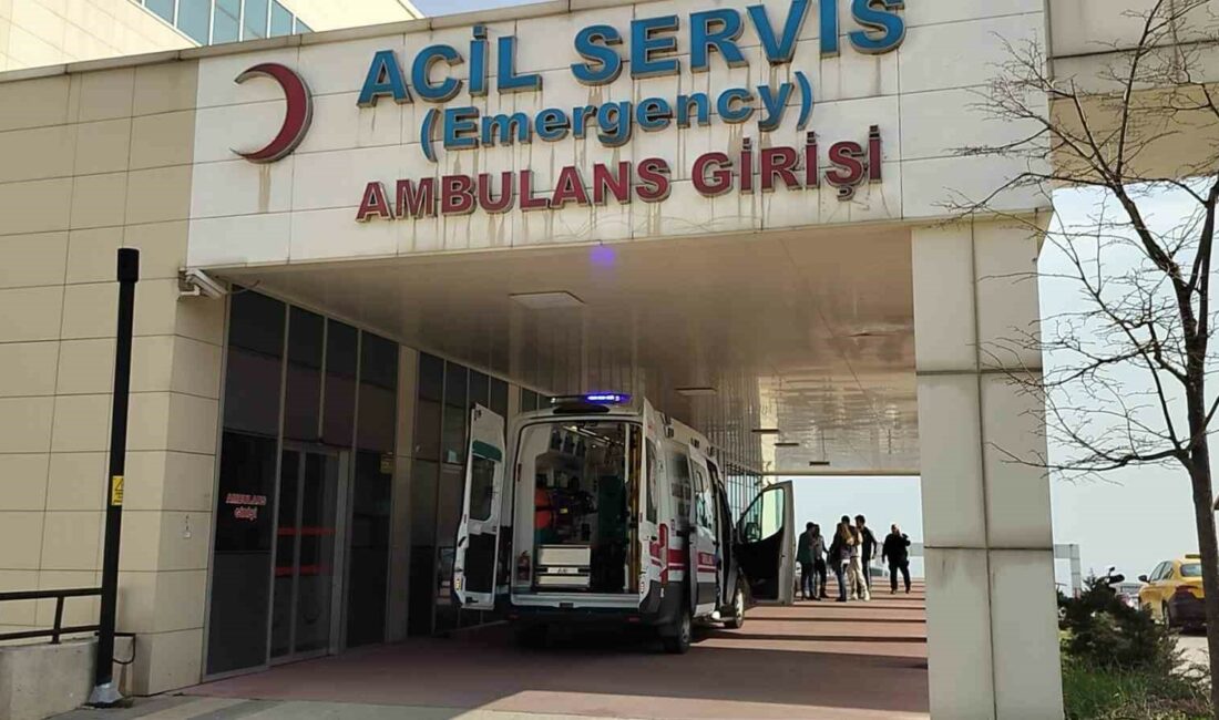 Bursa'nın Orhangazi ilçesinde, arkadaşları tarafından evde hareketsiz olarak bulunan 21