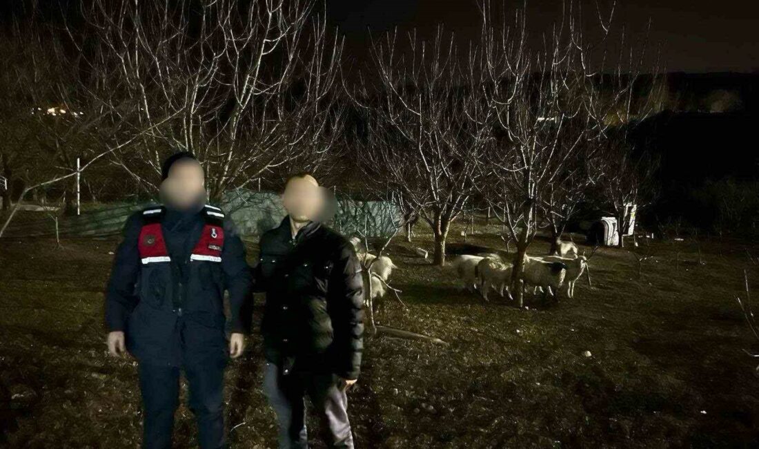 Bursa’da kaybolan küçükbaşlar dronla bulundu Bursa’nın Osmangazi ilçesinde kaybolan 10 koyun dron yardımıyla bulundu.