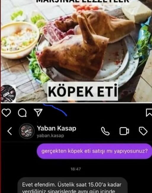 SOSYAL MEDYADA BİR HESABIN BURSA’DAN KÖPEK ETİ SATIŞI YAPILDIĞININ İDDİA