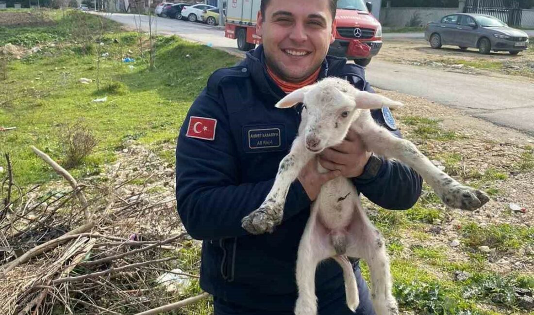 BURSA’DA NİLÜFER İLÇESİNDE KUYUYA DÜŞEN KUZUYU İTFAİYE EKİPLERİ KURTARDI. MAHSUR