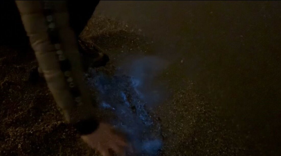 ALG PATLAMASI MARMARA DENİZİNİN RENGİNİ DEĞİŞTİRDİ