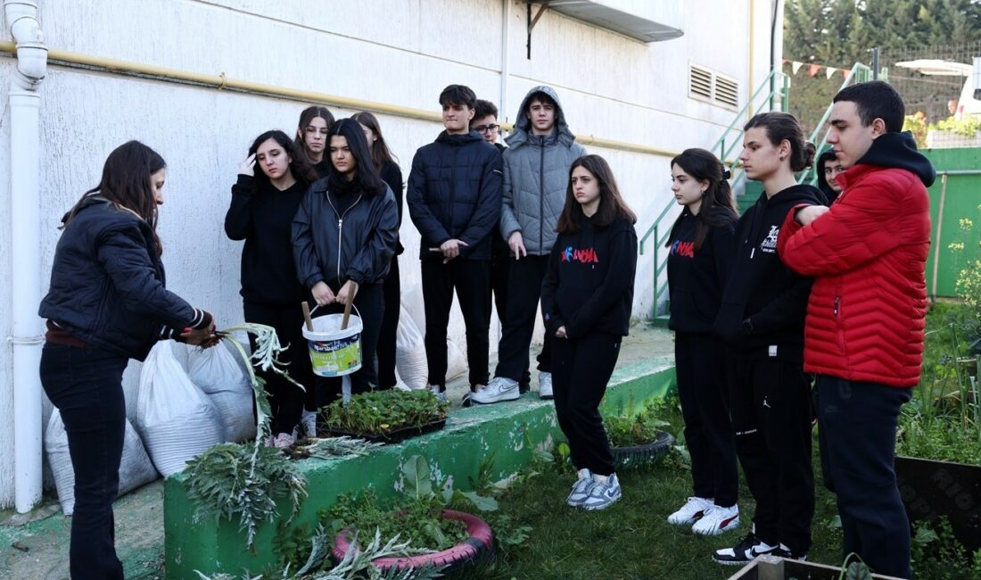 Nilüfer’de öğrenciler ders arasında fide ektiler NİLÜFER’DE ÖĞRENCİLER, NİLÜFER BELEDİYESİ TARAFINDAN GETİRİLEN ENGİNAR VE ÇİLEK FİDELERİNİ