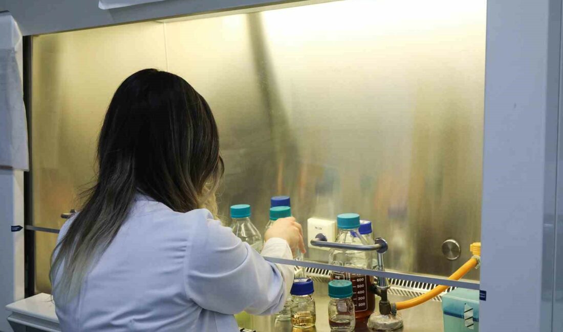 BURSA TEKNİK ÜNİVERSİTESİ (BTÜ) ÖĞRENCİLERİNİN HAZIRLADIĞI 115 PROJE, TÜBİTAK DESTEĞİNE