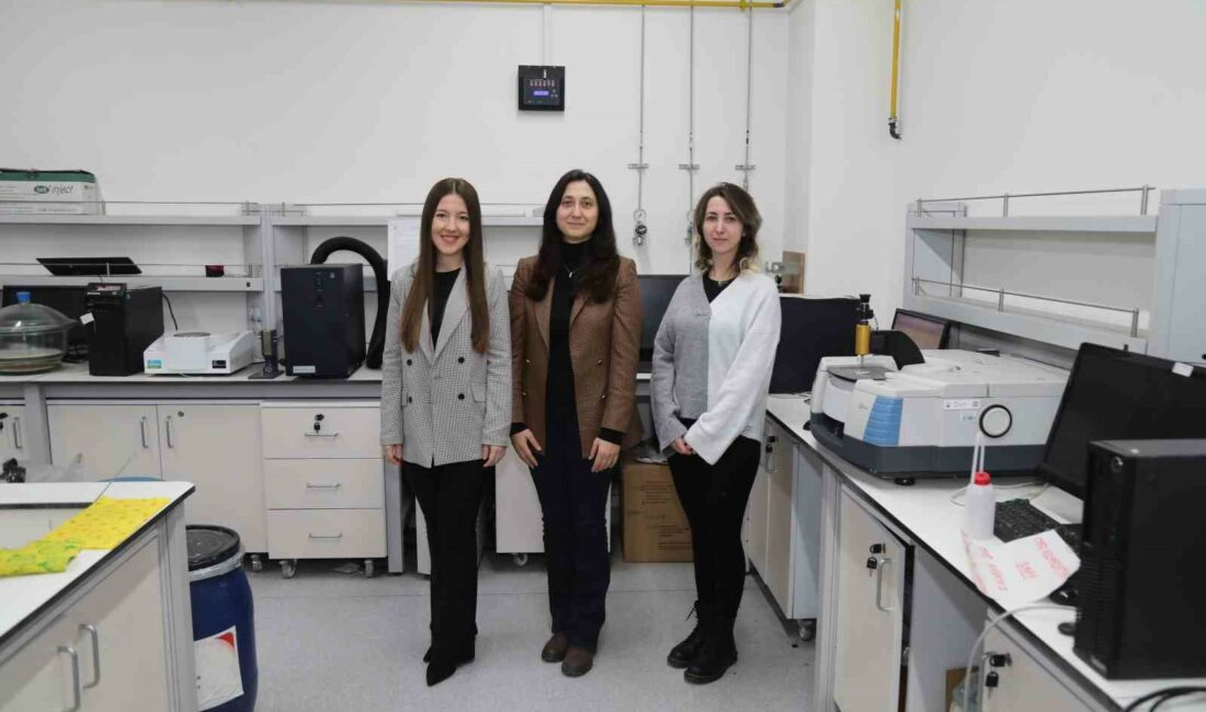 BTÜ’den elektrikli araçların menzilini arttıracak proje Bursa Teknik Üniversitesi (BTÜ) akademisyenleri, elektrikli araçların şarjının daha uzun