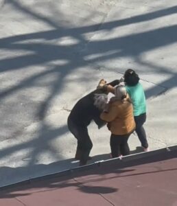 Bursa’da kadınların kavgası kamerada Bursa'da yol ortasında kavga eden kadınlar kameraya yansıdı.