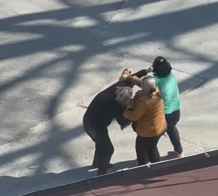 Bursa’da kadınların kavgası kamerada Bursa'da yol ortasında kavga eden kadınlar kameraya yansıdı.