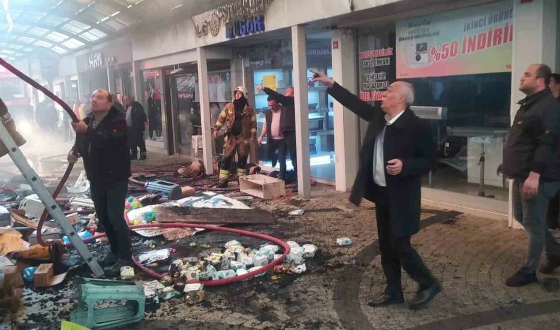 BURSA’NIN YENİŞEHİR İLÇESİNDE BÜUÜKŞEHİR BELEDİYESİ TARAFINDAN RESTORE EDİLEN TARİHİ BALİBEY