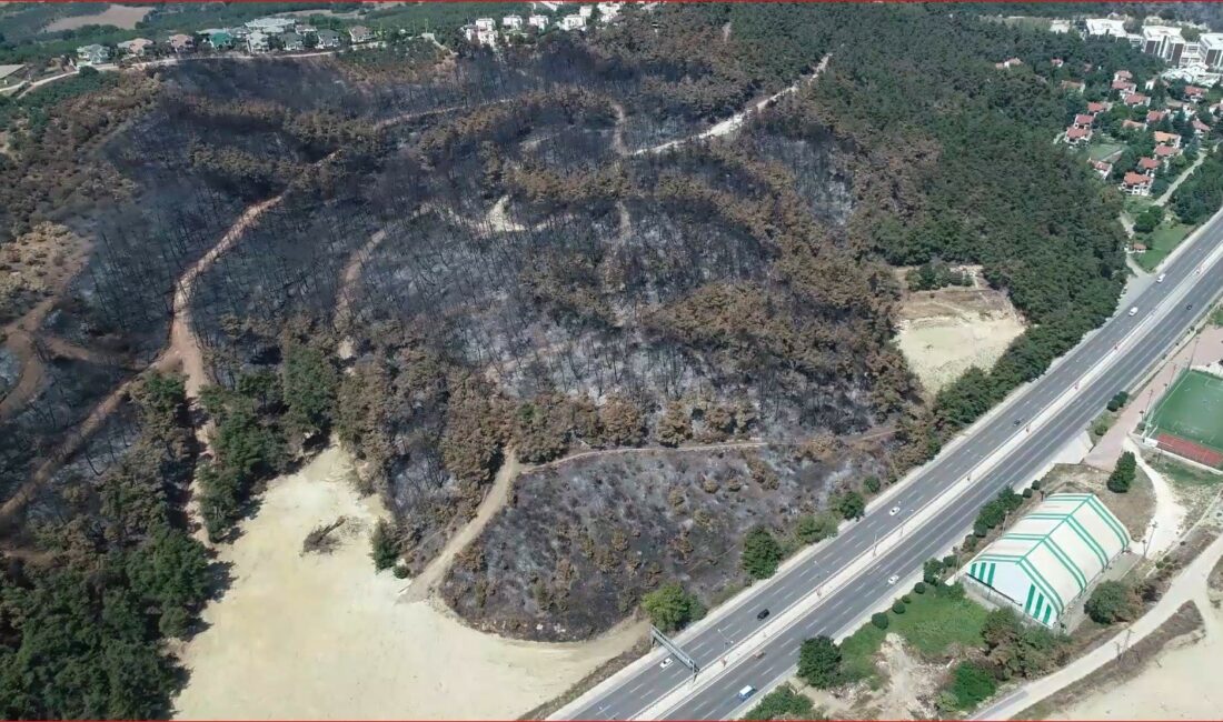 Bursa’da yanan ormanların yerine 48 bin fidan dikildi BURSA'DA 11 AĞUSTOS 2018 TARİHİNDE MUDANYA İLÇESİNDE ÇIKAN ORMAN YANGININDA