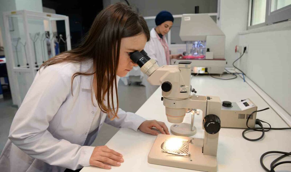 BUÜ’lü öğrencilerin projelerine TÜBİTAK desteği TÜBİTAK 2209-A VE 2209-B ÜNİVERSİTE ÖĞRENCİLERİ SANAYİYE YÖNELİK ARAŞTIRMA PROJELERİ