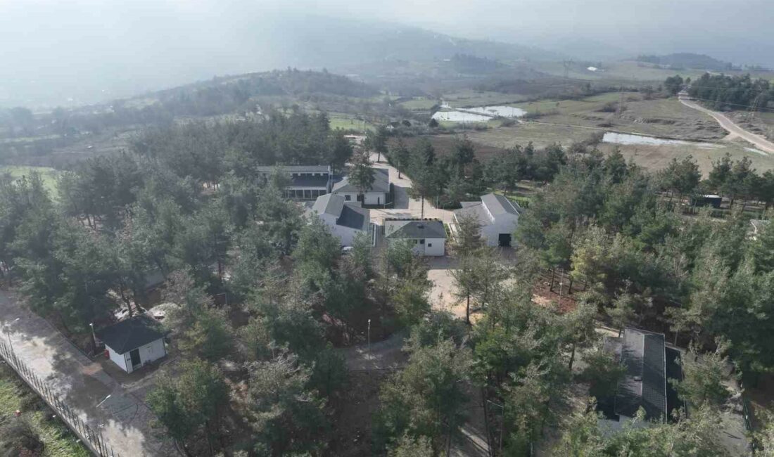 Can dostlara modern yeni yuva BURSA BÜYÜKŞEHİR BELEDİYESİ’NİN SAHİPSİZ SOKAK HAYVANLARINI SICAK BİR YUVADA BULUŞTURACAĞI