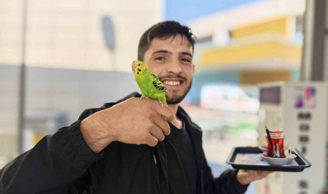 BURSA'NIN İNEGÖL İLÇESİNDE KANTİNDE ÇALIŞAN GENCİN, İBİŞ İSMİNİ VERDİĞİ MUHABBET