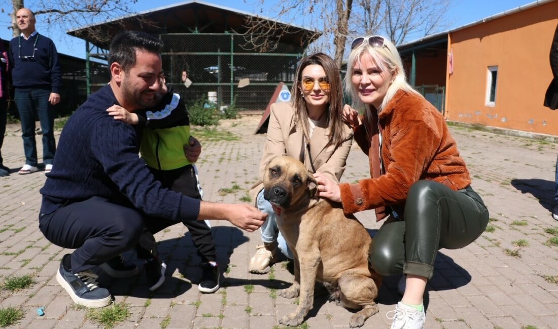 CUMHUR İTTİFAKI AK PARTİ MUDANYA BELEDİYE BAŞKAN ADAYI GÖKHAN DİNÇER,