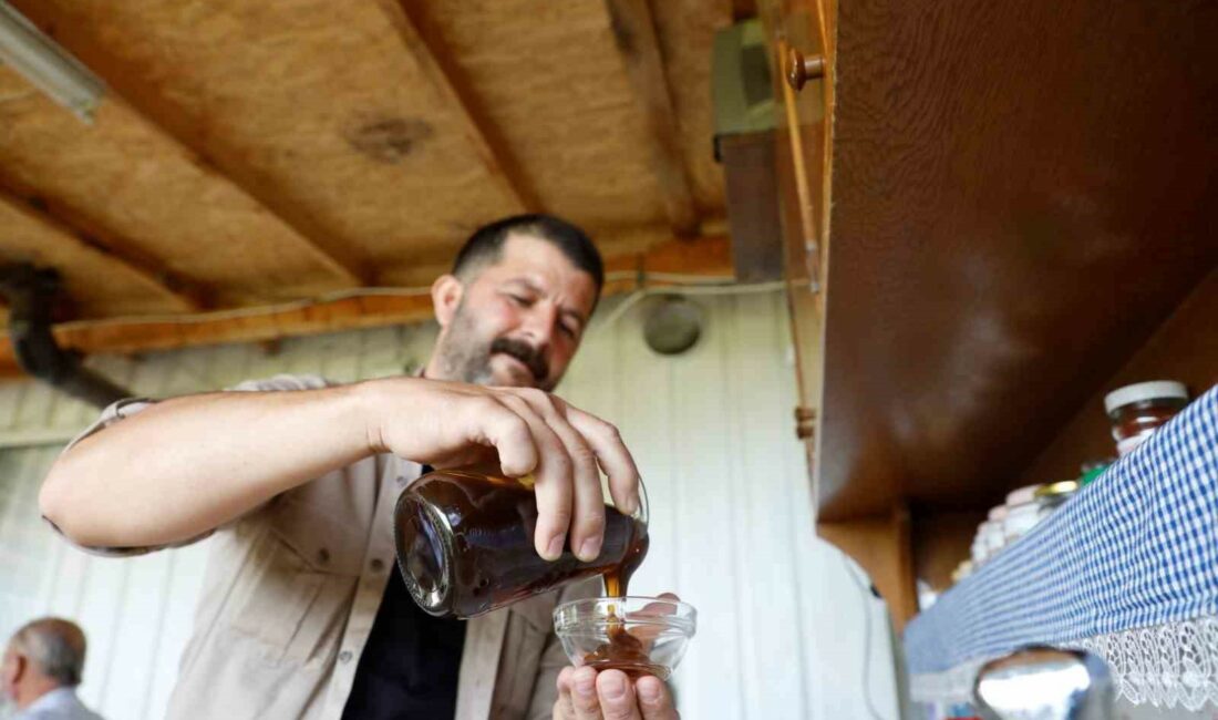 İnegöl’de ‘Karaçalı’ balının coğrafi işareti için çalışma yapılacak İNEGÖL BELEDİYESİ, ŞEHİRDE ARICILIK VE BAL ÜRETİMİNE YENİ BİR DÖNEMİN