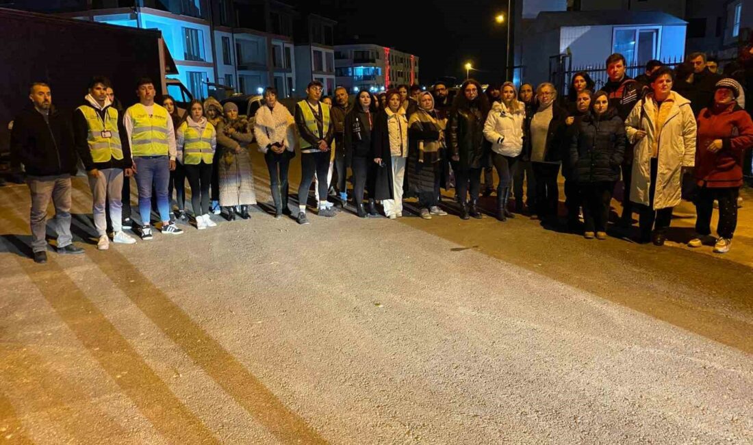 İnegöl’de yavru kedilerin katledilmesine hayvanseverlerden tepki İNEGÖL'DE YAVRU KEDİLERİN KATLEDİLMESİNE HAYVANSEVERLERDEN TEPKİ