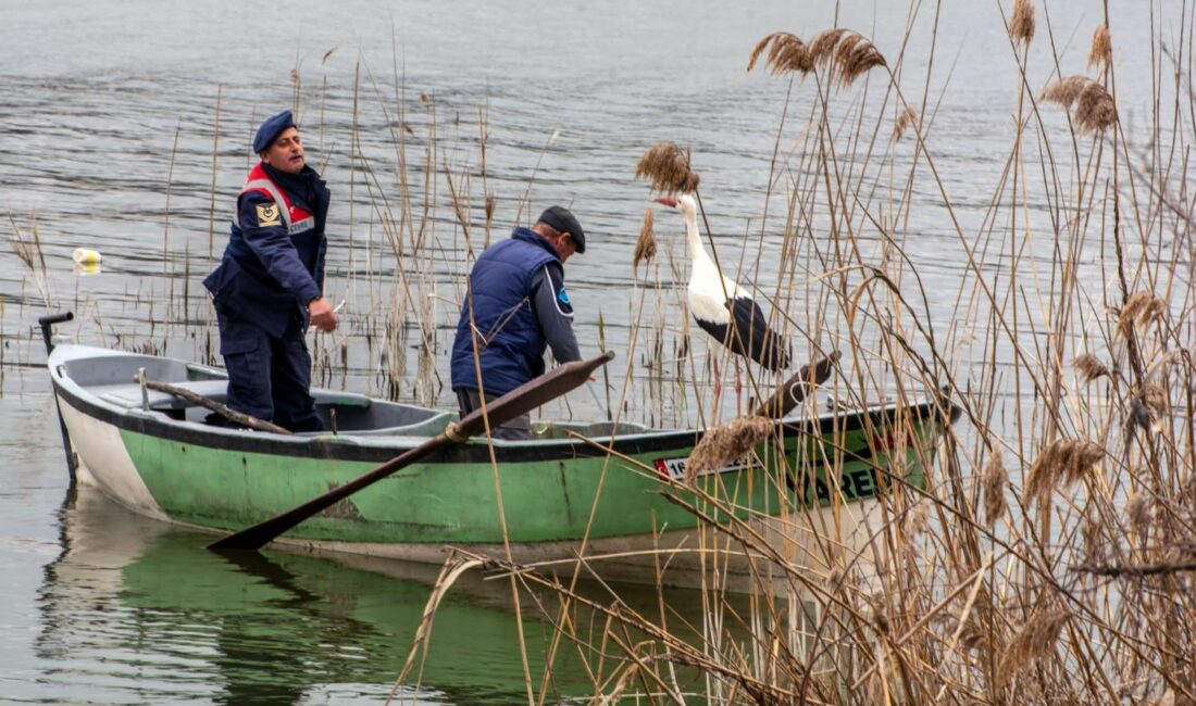 Bursa’da jandarmadan Yaren leyleğe ziyaret Bursa’nın Karacabey ilçesi Eskikaraağaç köyünde filmlere konu olan Yaren leylek