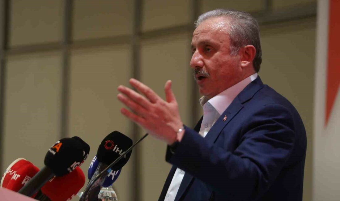 TÜRKİYE BÜYÜK MİLLET MECLİSİ 29. BAŞKANI MUSTAFA ŞENTOP