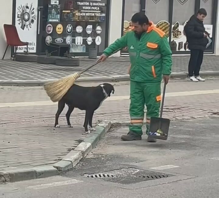 Bursa’da köpeği süpürgeyle temizleyen görevli gülümsetti Bursa’da bir temizlik görevlisi, yanına gelen sokak köpeğinin sırtını elindeki