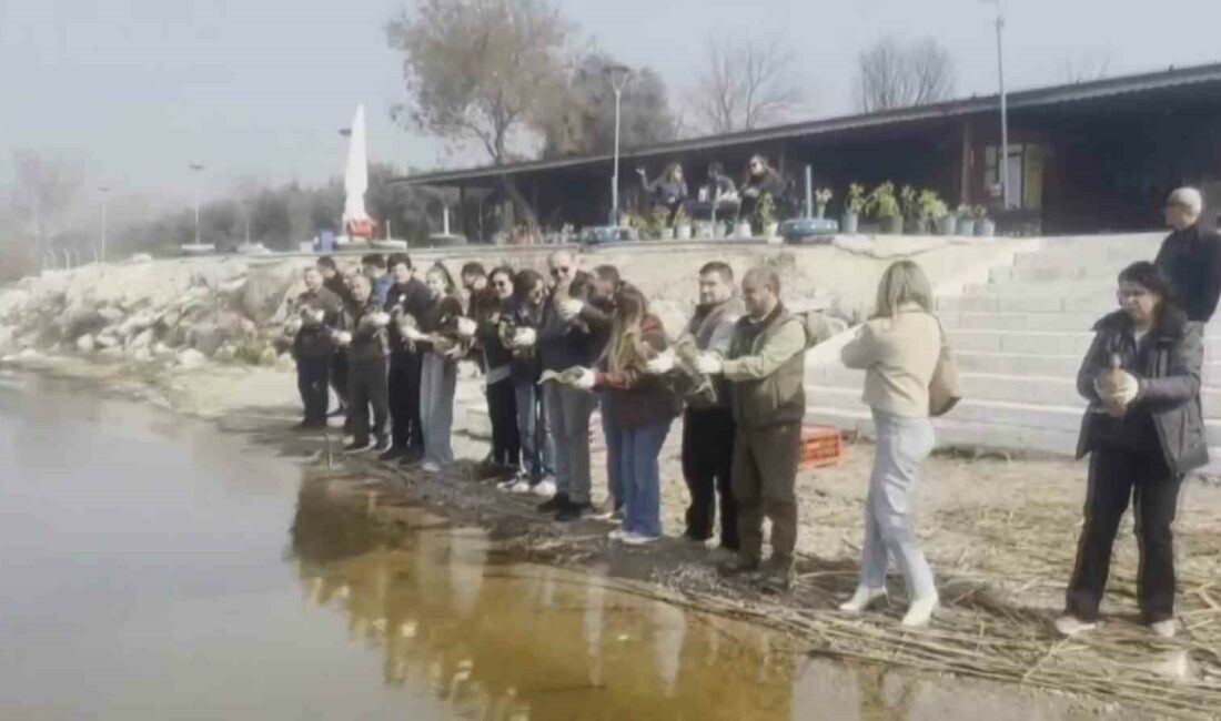 Tedavisi tamamlanan ördekler doğaya salındı 3 MART DÜNYA YABAN HAYATI GÜNÜ BURSA’DA ÇEŞİTLİ FAALİYETLER ÇERÇEVESİNDE
