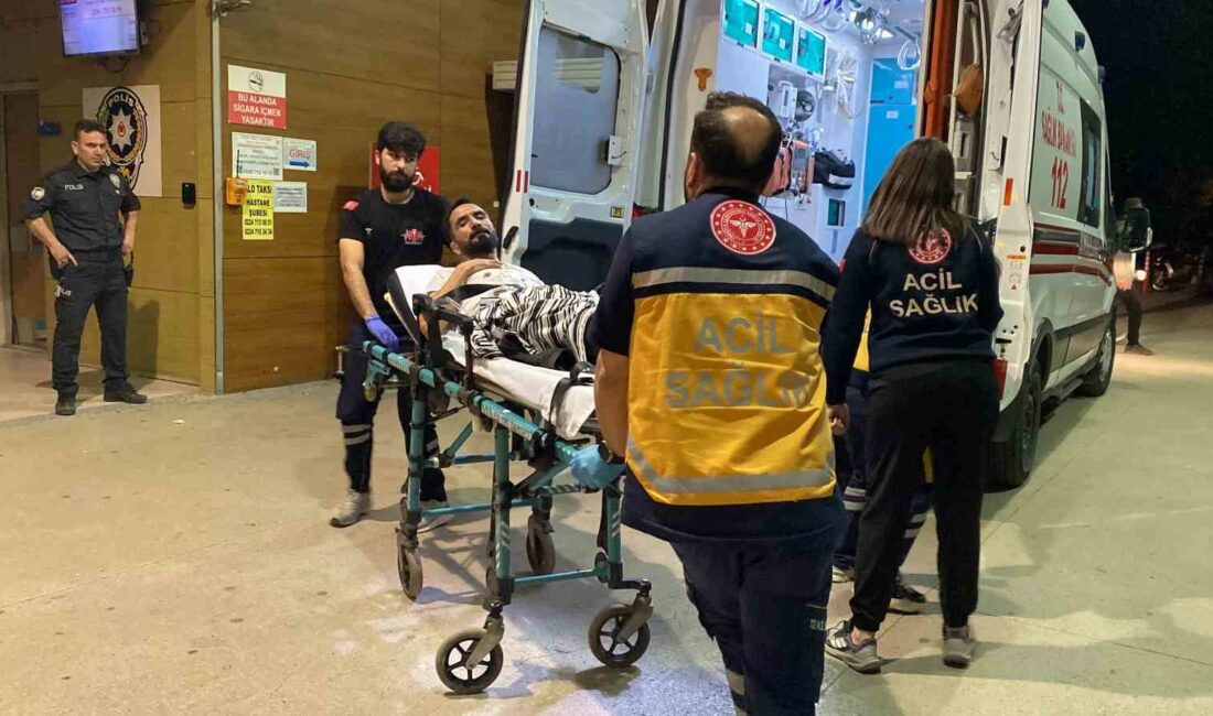 Bursa’da bir genç annesine bağıran babasını bıçakladı.