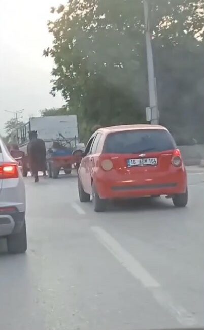 Bursa’da atlara eziyet kamerada: Kamyonetin arkasına bağladığı 4 atı böyle götürdü BURSA'DA ATLARA EZİYET KAMERADA : KAMYONETİN ARKASINA BAĞLADIĞI 4 ATI