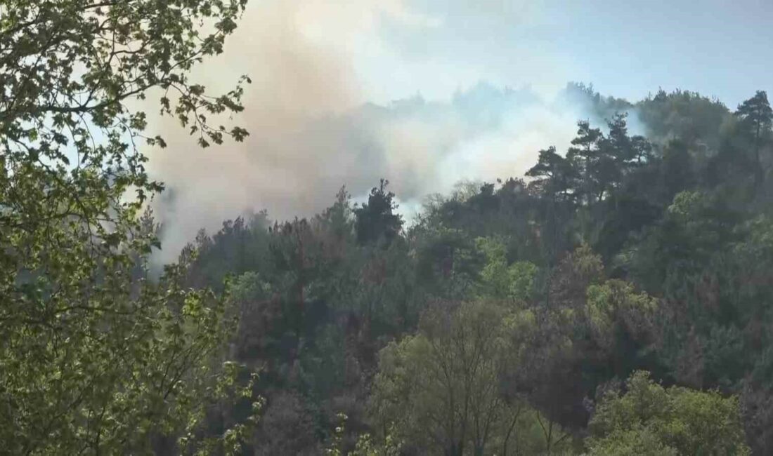 BURSA’NIN NİLÜFER İLÇESİNDE BULUNAN DAĞYENİCE MAHALLESİ’NİN ORMANLIK ALANINDA HENÜZ BELİRLENEMEYEN