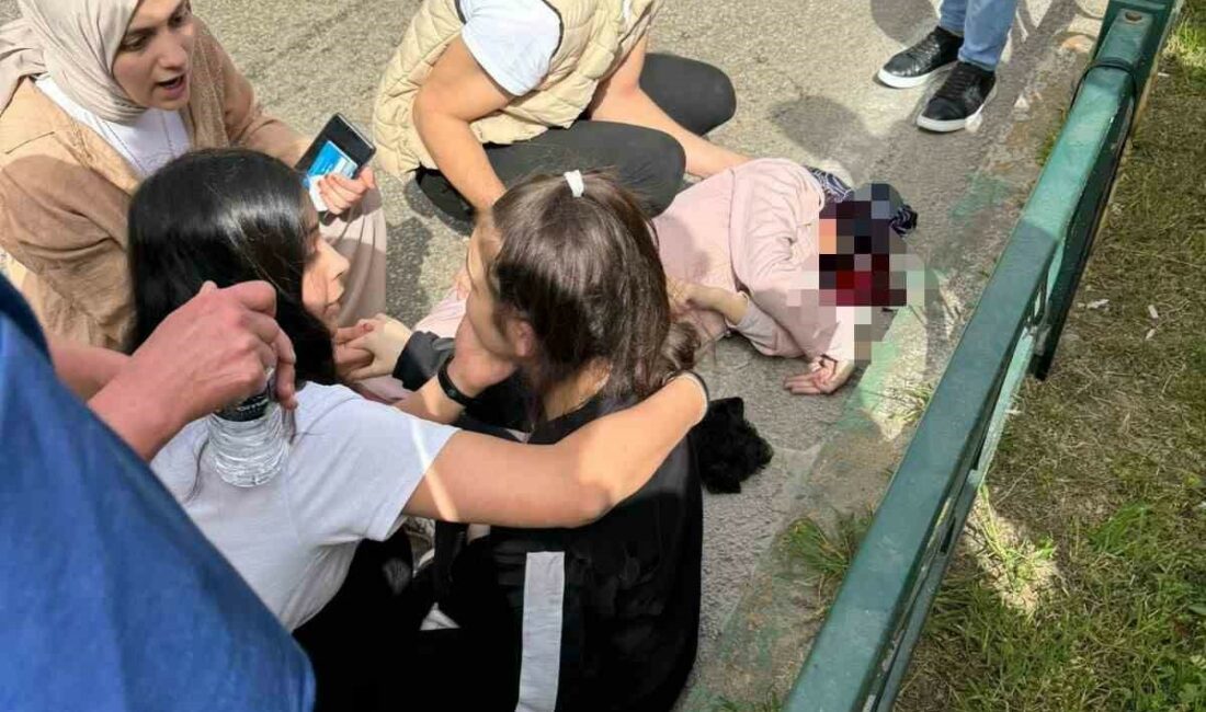 Bursa’da yaya geçidi faciası: anne öldü, çocukları yaralandı Bursa’da yaya geçidinden karşıya geçerken otomobilin çarptığı kadın öldü, 2