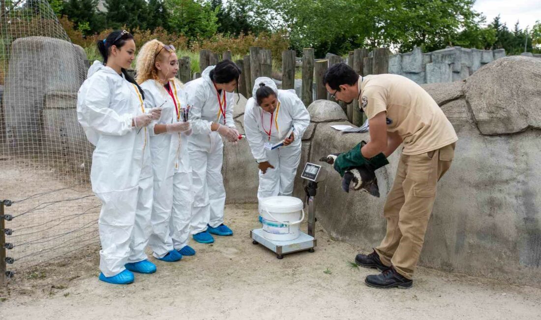 Erasmuslu öğrenciler Bursa Hayvanat Bahçesi’nde HÜRRİYET MESLEKİ VE TEKNİK ANADOLU LİSESİ, ERASMUS ÖĞRENCİ DEĞİŞİM PROGRAMI